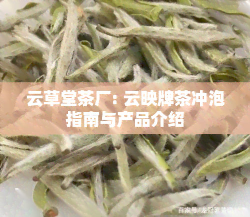 云草堂茶厂: 云映牌茶冲泡指南与产品介绍