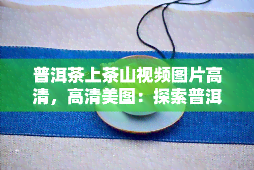 普洱茶上茶山视频图片高清，高清美图：探索普洱茶的源头——茶山之旅