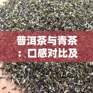 普洱茶与青茶：口感对比及区别分析