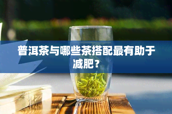 普洱茶与哪些茶搭配最有助于减肥？