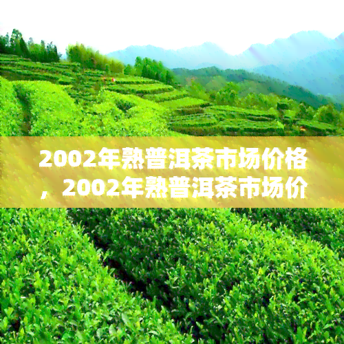 2002年熟普洱茶市场价格，2002年熟普洱茶市场价格回顾与分析