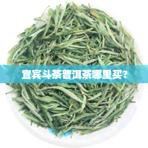 宜宾斗茶普洱茶哪里买？