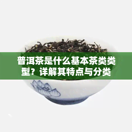 普洱茶是什么基本茶类类型？详解其特点与分类