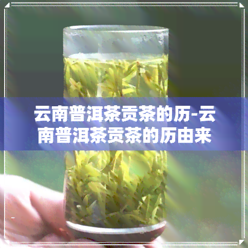 云南普洱茶贡茶的历-云南普洱茶贡茶的历由来