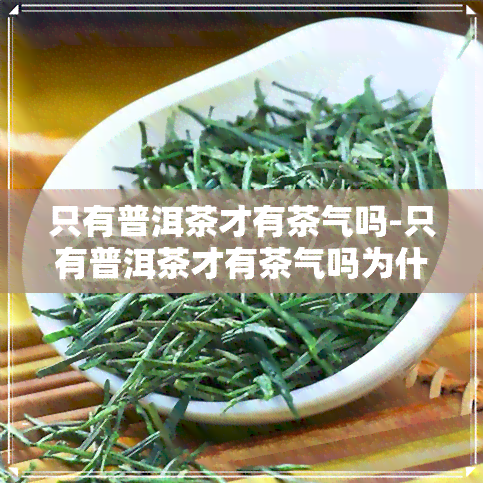 只有普洱茶才有茶气吗-只有普洱茶才有茶气吗为什么