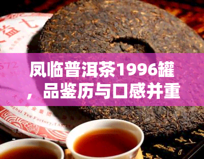 凤临普洱茶1996罐，品鉴历与口感并重：凤临普洱茶1996罐的魅力