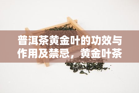 普洱茶黄金叶的功效与作用及禁忌，黄金叶茶叶属于哪个档次？