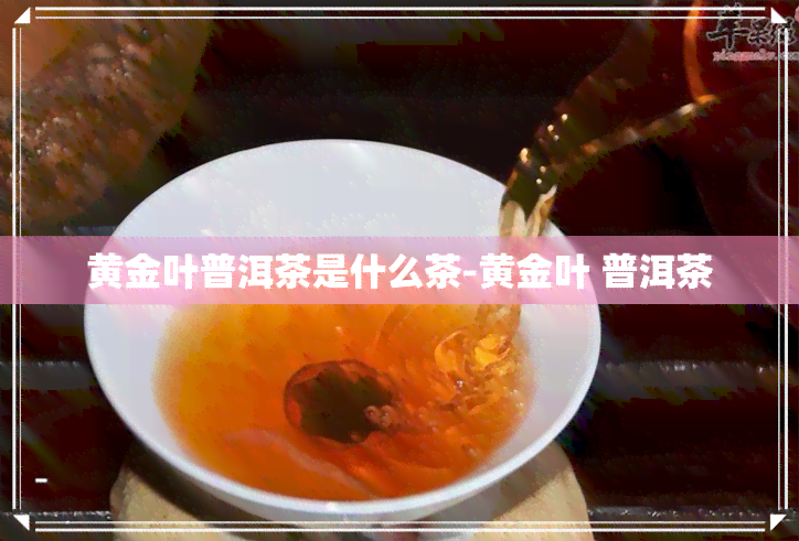 黄金叶普洱茶是什么茶-黄金叶 普洱茶