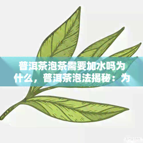 普洱茶泡茶需要加水吗为什么，普洱茶泡法揭秘：为何需要加水？