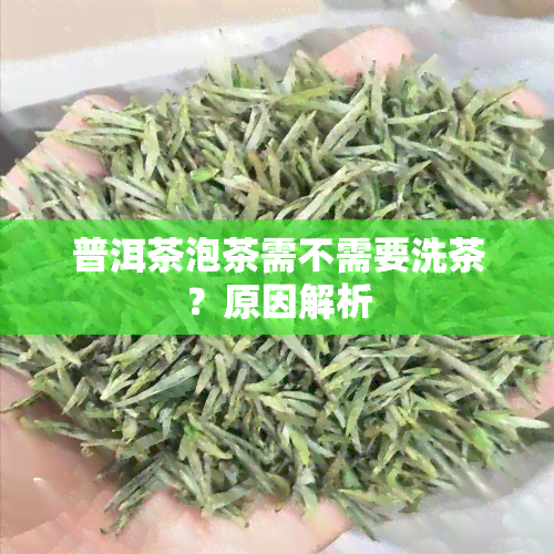 普洱茶泡茶需不需要洗茶？原因解析