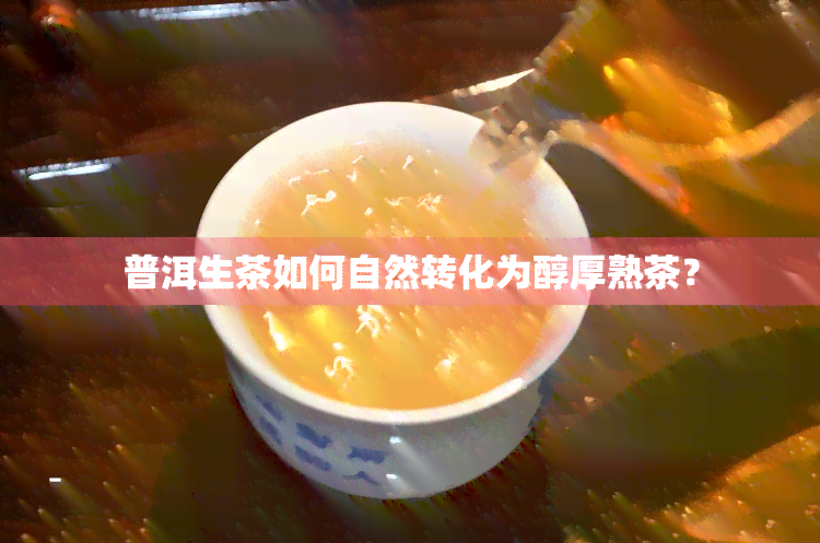 普洱生茶如何自然转化为醇厚熟茶？