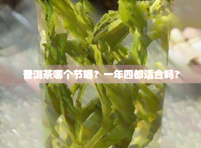 普洱茶哪个节喝？一年四都适合吗？