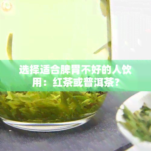 选择适合脾胃不好的人饮用：红茶或普洱茶？