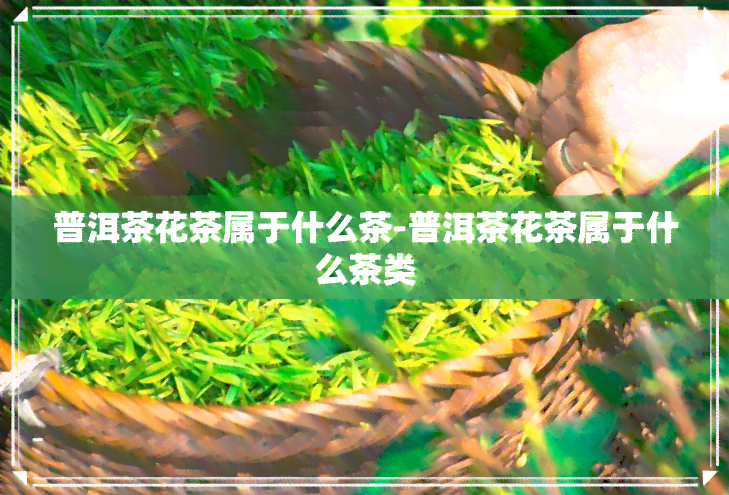 普洱茶花茶属于什么茶-普洱茶花茶属于什么茶类