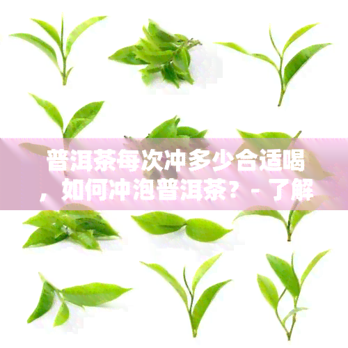 普洱茶每次冲多少合适喝，如何冲泡普洱茶？- 了解每次合适的冲泡量