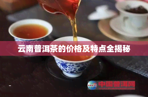 云南普洱茶的价格及特点全揭秘