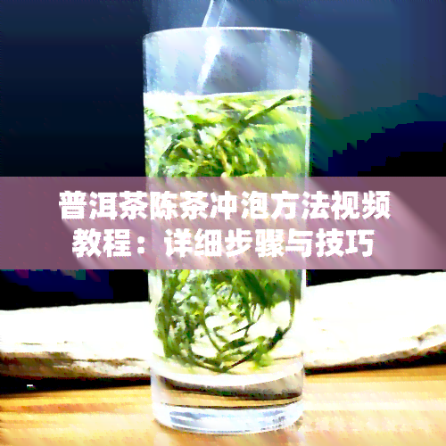 普洱茶陈茶冲泡方法视频教程：详细步骤与技巧