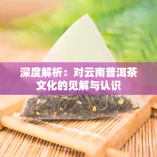 深度解析：对云南普洱茶文化的见解与认识