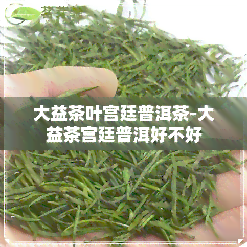 大益茶叶宫廷普洱茶-大益茶宫廷普洱好不好