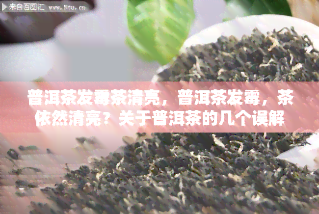 普洱茶发霉茶清亮，普洱茶发霉，茶依然清亮？关于普洱茶的几个误解