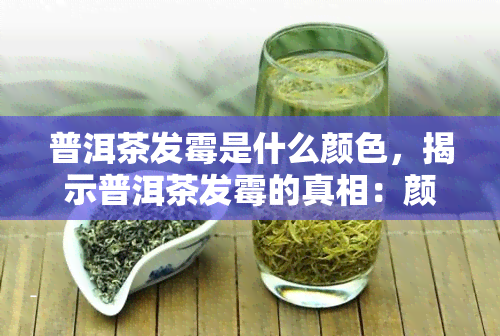 普洱茶发霉是什么颜色，揭示普洱茶发霉的真相：颜色解析与辨别方法