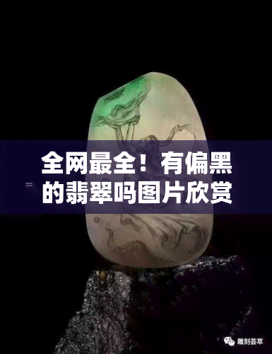 全网最全！有偏黑的翡翠吗图片欣赏