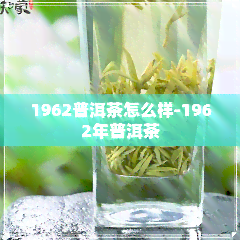 1962普洱茶怎么样-1962年普洱茶