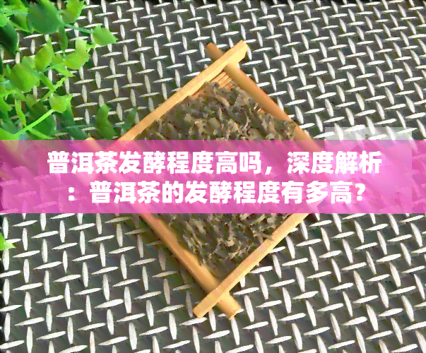 普洱茶发酵程度高吗，深度解析：普洱茶的发酵程度有多高？