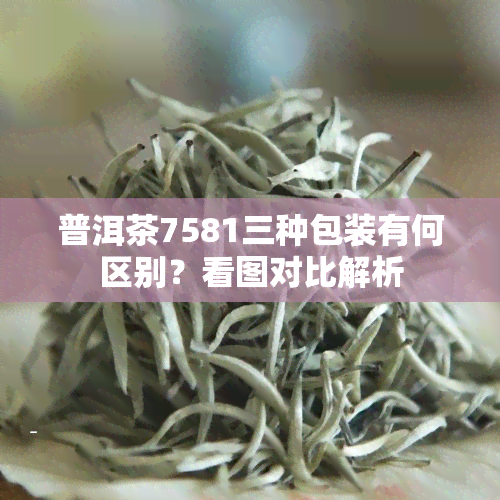 普洱茶7581三种包装有何区别？看图对比解析