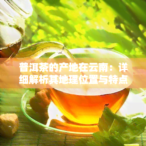 普洱茶的产地在云南：详细解析其地理位置与特点