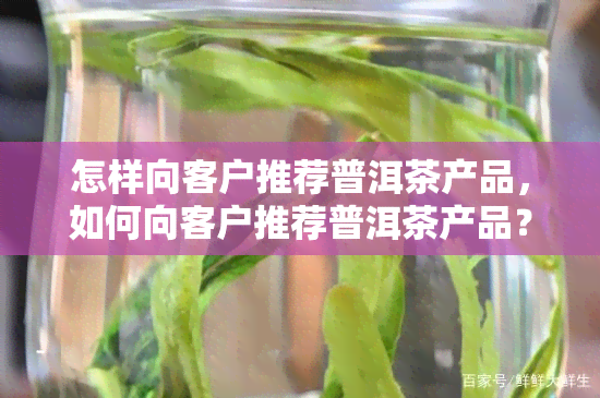 怎样向客户推荐普洱茶产品，如何向客户推荐普洱茶产品？