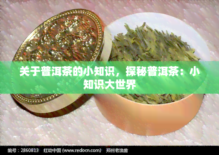 关于普洱茶的小知识，探秘普洱茶：小知识大世界