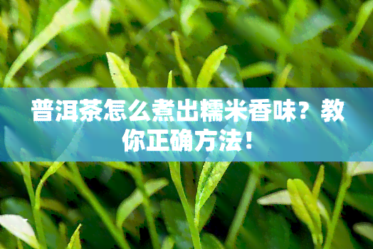 普洱茶怎么煮出糯米香味？教你正确方法！