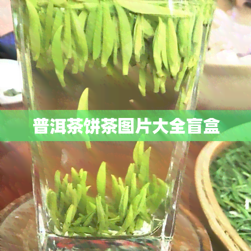 普洱茶饼茶图片大全盲盒