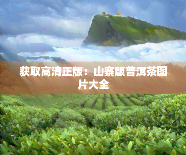 获取高清正版：山寨版普洱茶图片大全