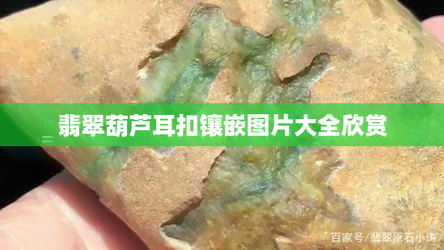 翡翠葫芦耳扣镶嵌图片大全欣赏