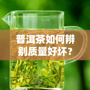 普洱茶如何辨别质量好坏？详细解析