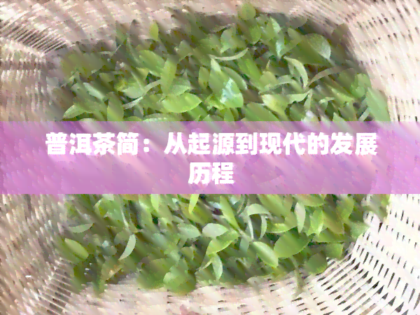 普洱茶简：从起源到现代的发展历程