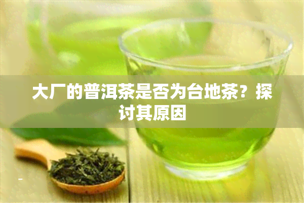 大厂的普洱茶是否为台地茶？探讨其原因