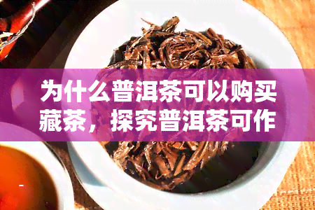 为什么普洱茶可以购买藏茶，探究普洱茶可作为藏茶的原因