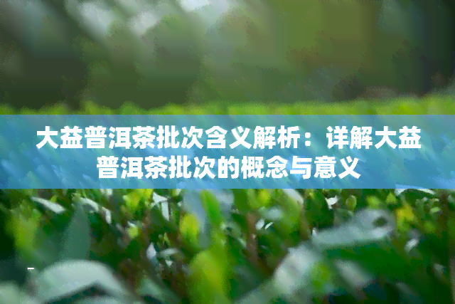 大益普洱茶批次含义解析：详解大益普洱茶批次的概念与意义