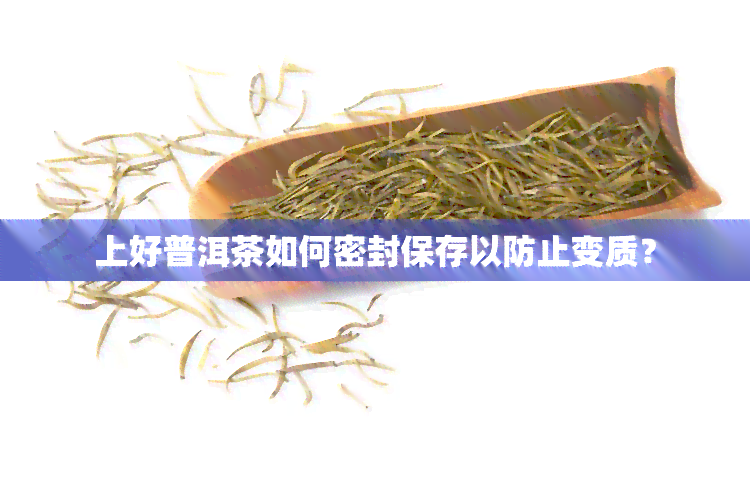 上好普洱茶如何密封保存以防止变质？