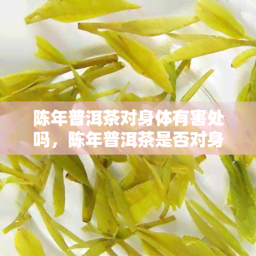 陈年普洱茶对身体有害处吗，陈年普洱茶是否对身体有害？探讨其可能的副作用和风险