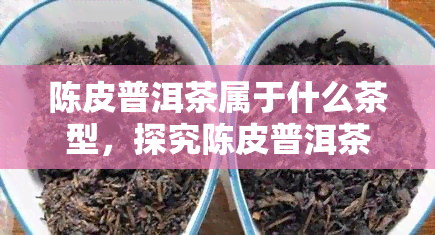 陈皮普洱茶属于什么茶型，探究陈皮普洱茶的茶型归属