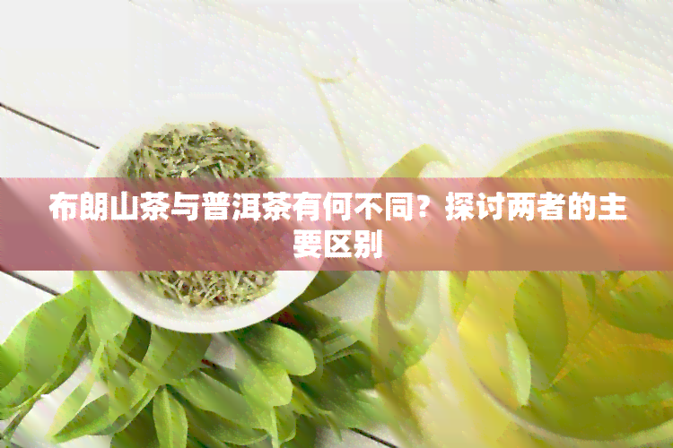 布朗山茶与普洱茶有何不同？探讨两者的主要区别