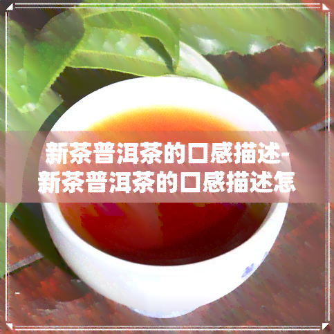 新茶普洱茶的口感描述-新茶普洱茶的口感描述怎么写