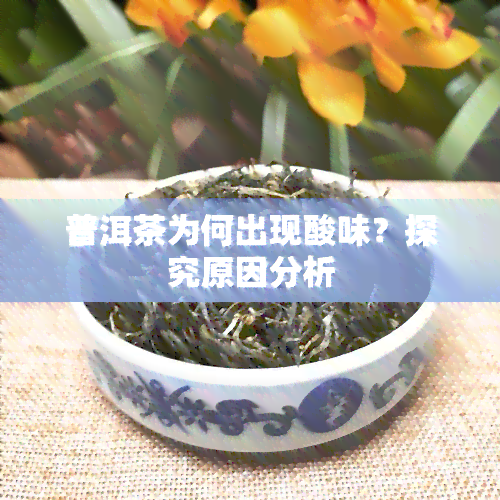 普洱茶为何出现酸味？探究原因分析