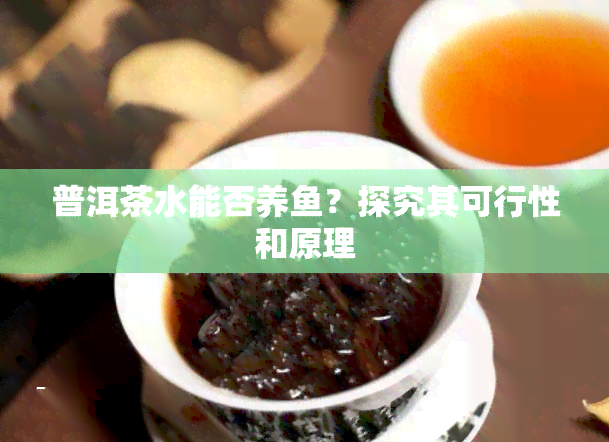 普洱茶水能否养？探究其可行性和原理