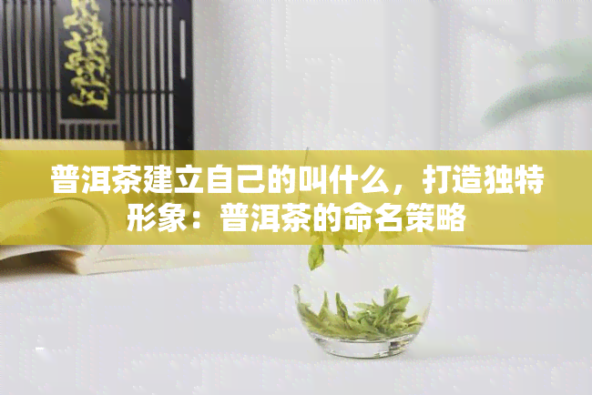 普洱茶建立自己的叫什么，打造独特形象：普洱茶的命名策略