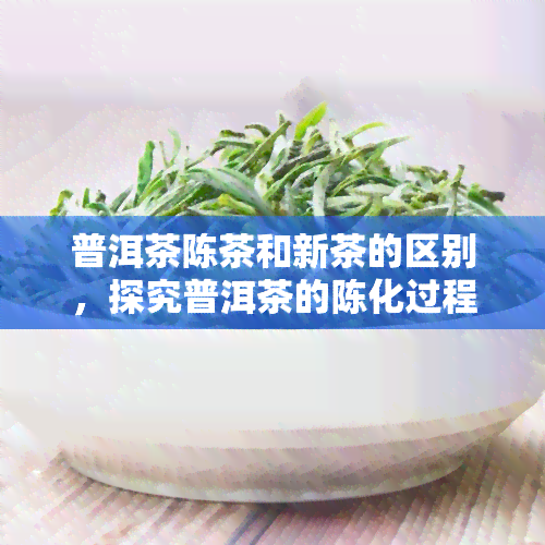 普洱茶陈茶和新茶的区别，探究普洱茶的陈化过程：新茶与陈茶的差异分析